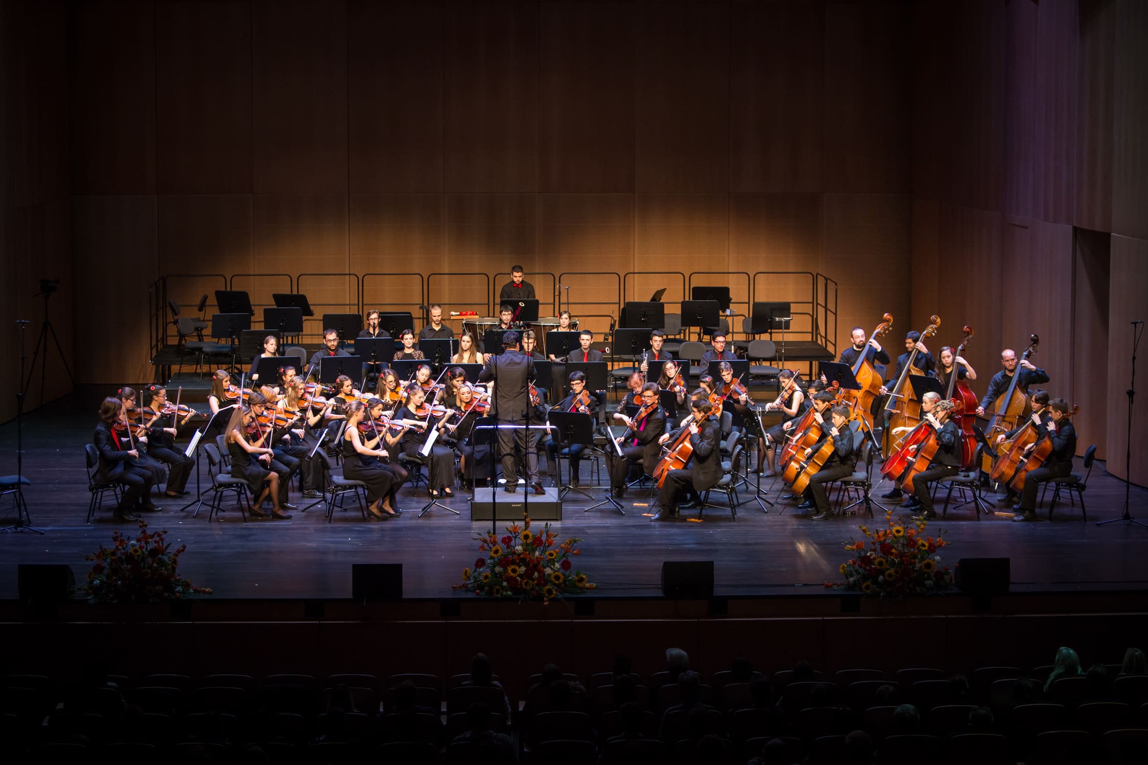 orchestra giovanile svizzera italiana